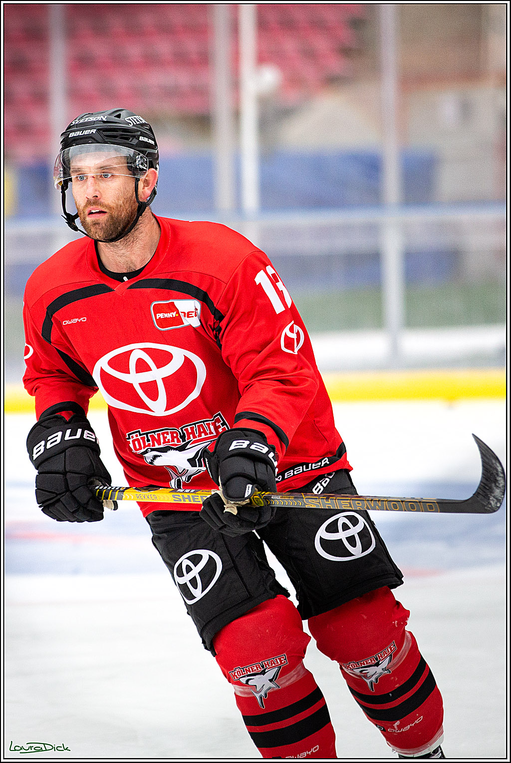 PENNY DEL; Koelner Haie Wintergame Training; Koeln, 02.12.2022